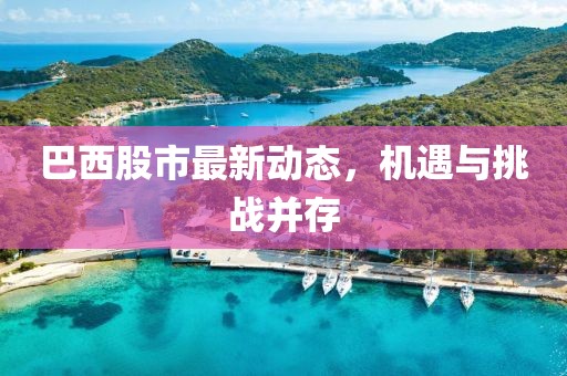 巴西股市最新动态，机遇与挑战并存