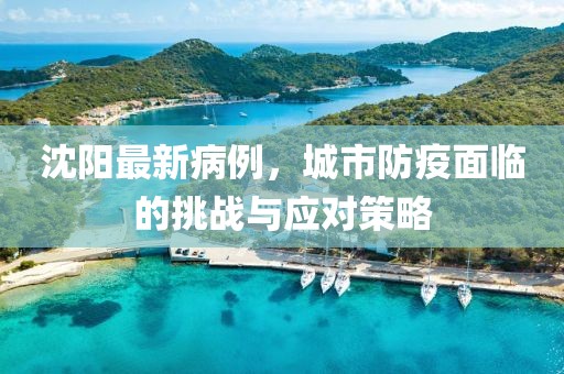 沈阳最新病例，城市防疫面临的挑战与应对策略
