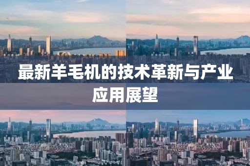 最新羊毛机的技术革新与产业应用展望