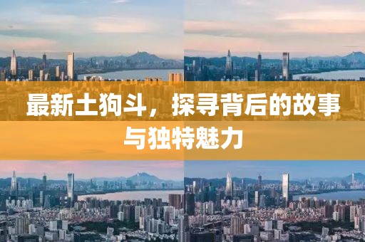 最新土狗斗，探寻背后的故事与独特魅力