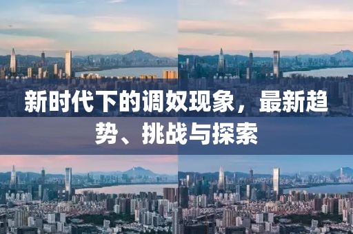 新时代下的调奴现象，最新趋势、挑战与探索