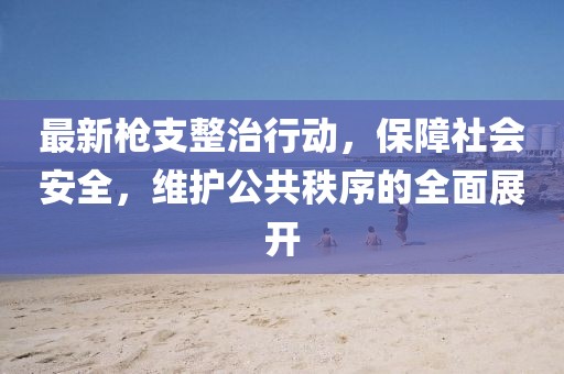 最新枪支整治行动，保障社会安全，维护公共秩序的全面展开