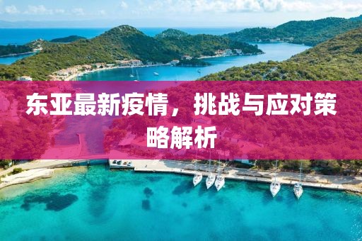 东亚最新疫情，挑战与应对策略解析