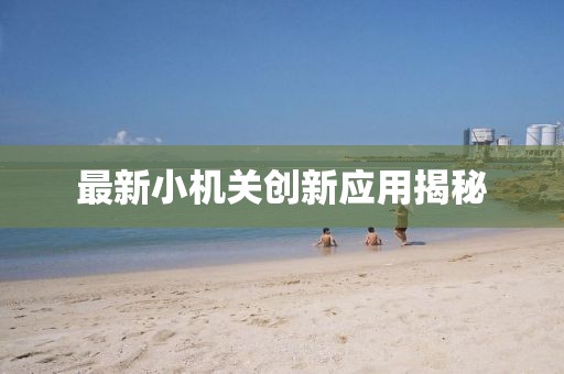 最新小机关创新应用揭秘