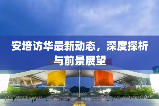 安培访华最新动态，深度探析与前景展望