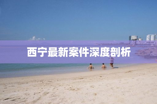 西宁最新案件深度剖析