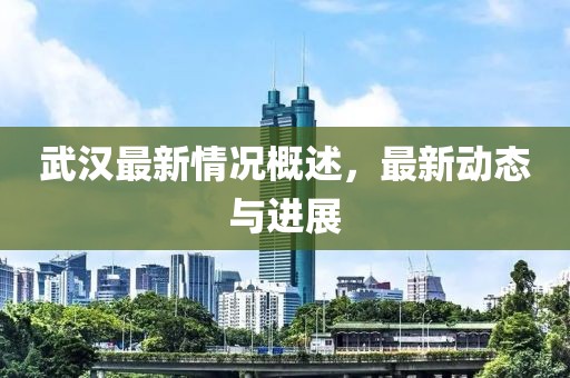 武汉最新情况概述，最新动态与进展