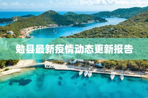 勉县最新疫情动态更新报告