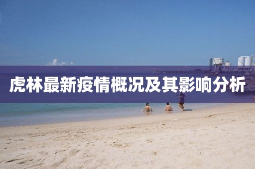 虎林最新疫情概况及其影响分析