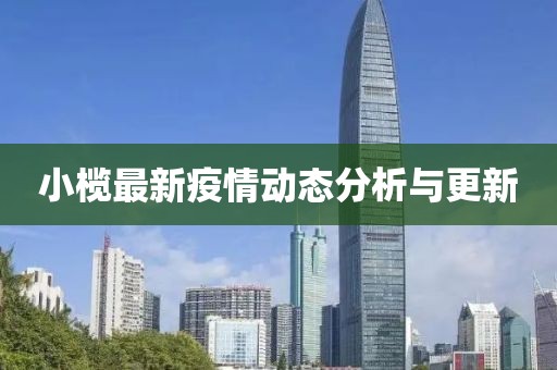 小榄最新疫情动态分析与更新