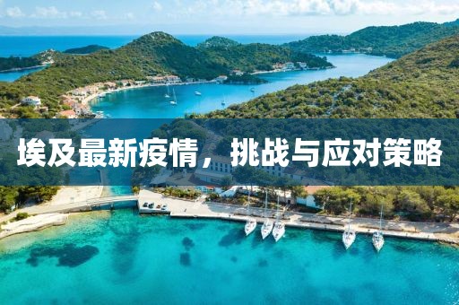 埃及最新疫情，挑战与应对策略