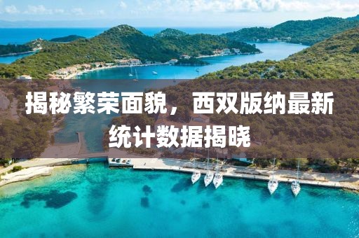 揭秘繁荣面貌，西双版纳最新统计数据揭晓