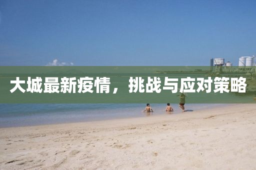大城最新疫情，挑战与应对策略