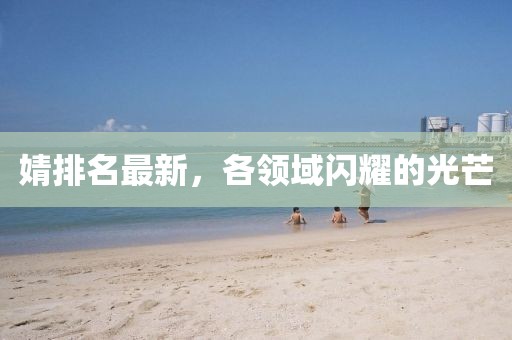 婧排名最新，各领域闪耀的光芒
