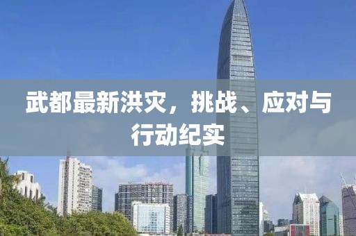 武都最新洪灾，挑战、应对与行动纪实