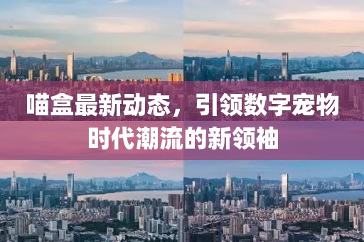 喵盒最新动态，引领数字宠物时代潮流的新领袖