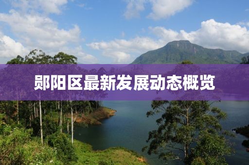 郧阳区最新发展动态概览