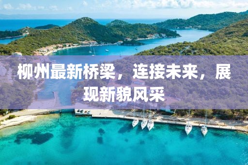 柳州最新桥梁，连接未来，展现新貌风采