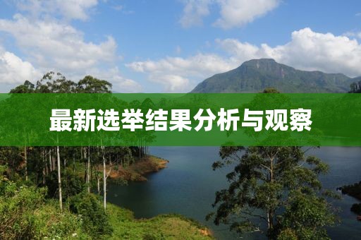 最新选举结果分析与观察