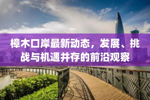 樟木口岸最新动态，发展、挑战与机遇并存的前沿观察