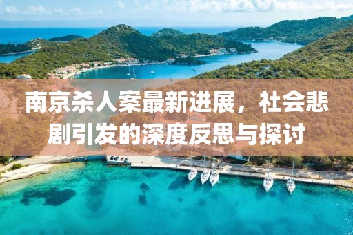 南京杀人案最新进展，社会悲剧引发的深度反思与探讨