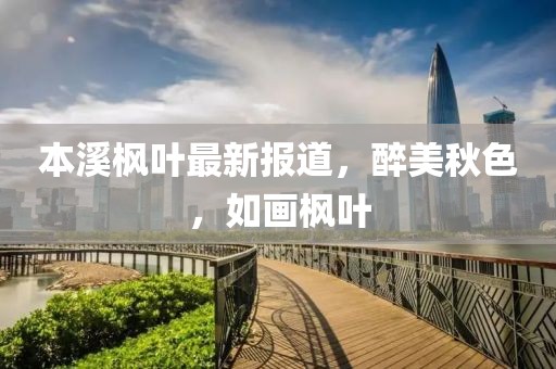 本溪枫叶最新报道，醉美秋色，如画枫叶