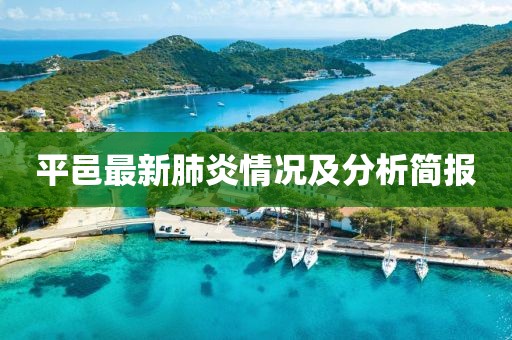 平邑最新肺炎情况及分析简报
