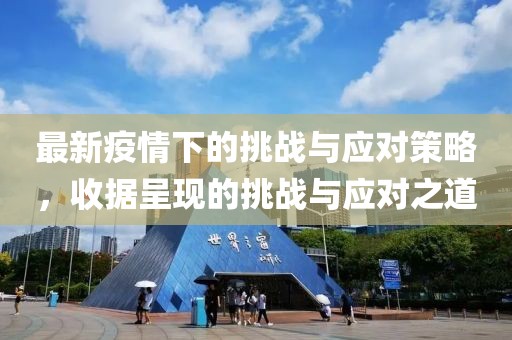 最新疫情下的挑战与应对策略，收据呈现的挑战与应对之道