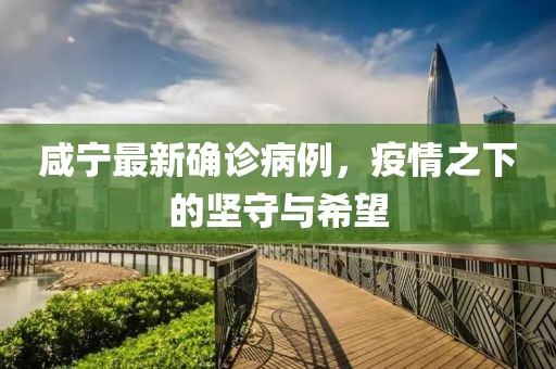 咸宁最新确诊病例，疫情之下的坚守与希望