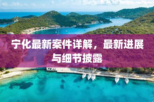 宁化最新案件详解，最新进展与细节披露