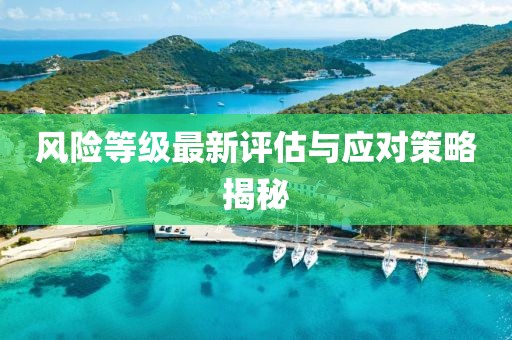 风险等级最新评估与应对策略揭秘