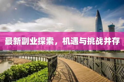 最新副业探索，机遇与挑战并存