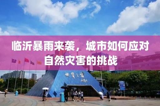 临沂暴雨来袭，城市如何应对自然灾害的挑战