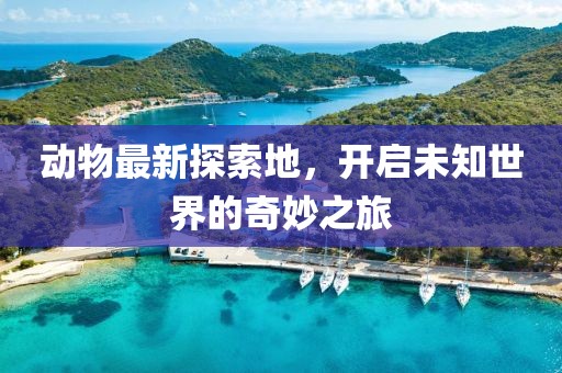 动物最新探索地，开启未知世界的奇妙之旅