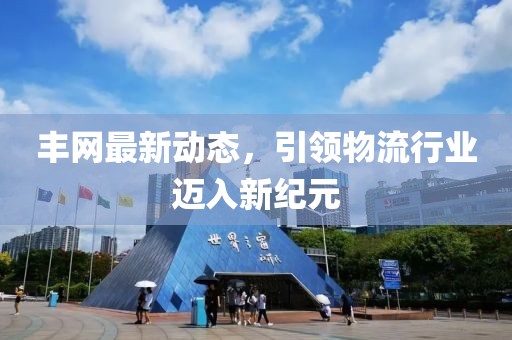 丰网最新动态，引领物流行业迈入新纪元