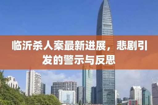 临沂杀人案最新进展，悲剧引发的警示与反思