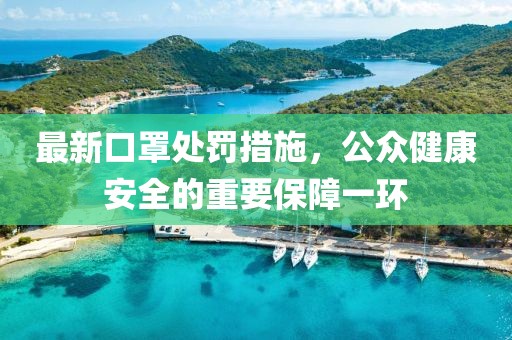 最新口罩处罚措施，公众健康安全的重要保障一环