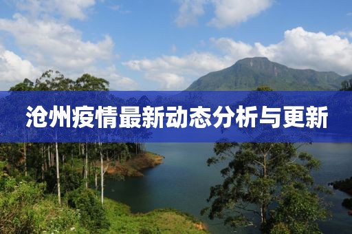 沧州疫情最新动态分析与更新