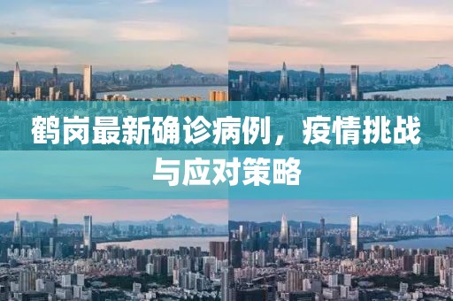 鹤岗最新确诊病例，疫情挑战与应对策略