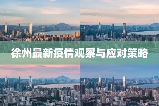徐州最新疫情观察与应对策略