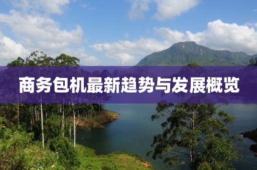 商务包机最新趋势与发展概览