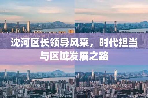 沈河区长领导风采，时代担当与区域发展之路