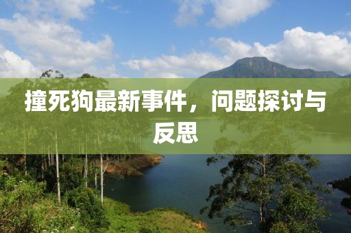 撞死狗最新事件，问题探讨与反思