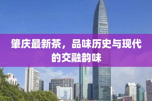 肇庆最新茶，品味历史与现代的交融韵味