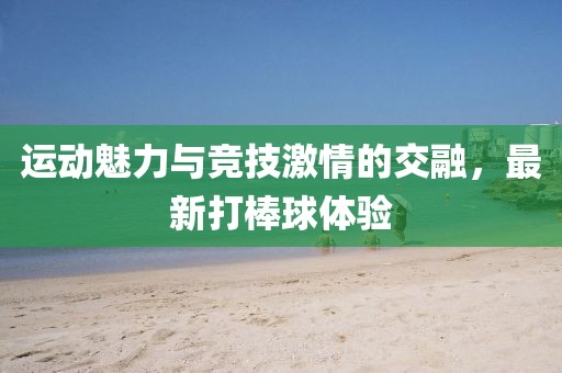 运动魅力与竞技激情的交融，最新打棒球体验
