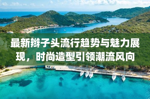 最新辫子头流行趋势与魅力展现，时尚造型引领潮流风向