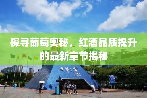 探寻葡萄奥秘，红酒品质提升的最新章节揭秘