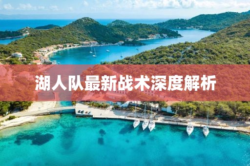 湖人队最新战术深度解析