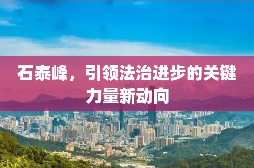 石泰峰，引领法治进步的关键力量新动向