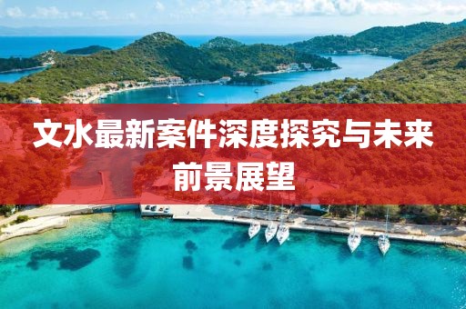 文水最新案件深度探究与未来前景展望